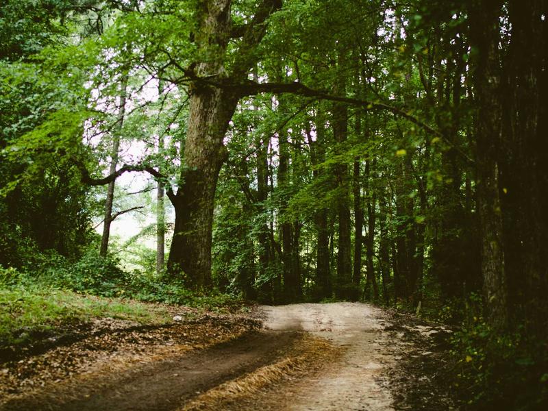 sudoku undo feature screenshot 5